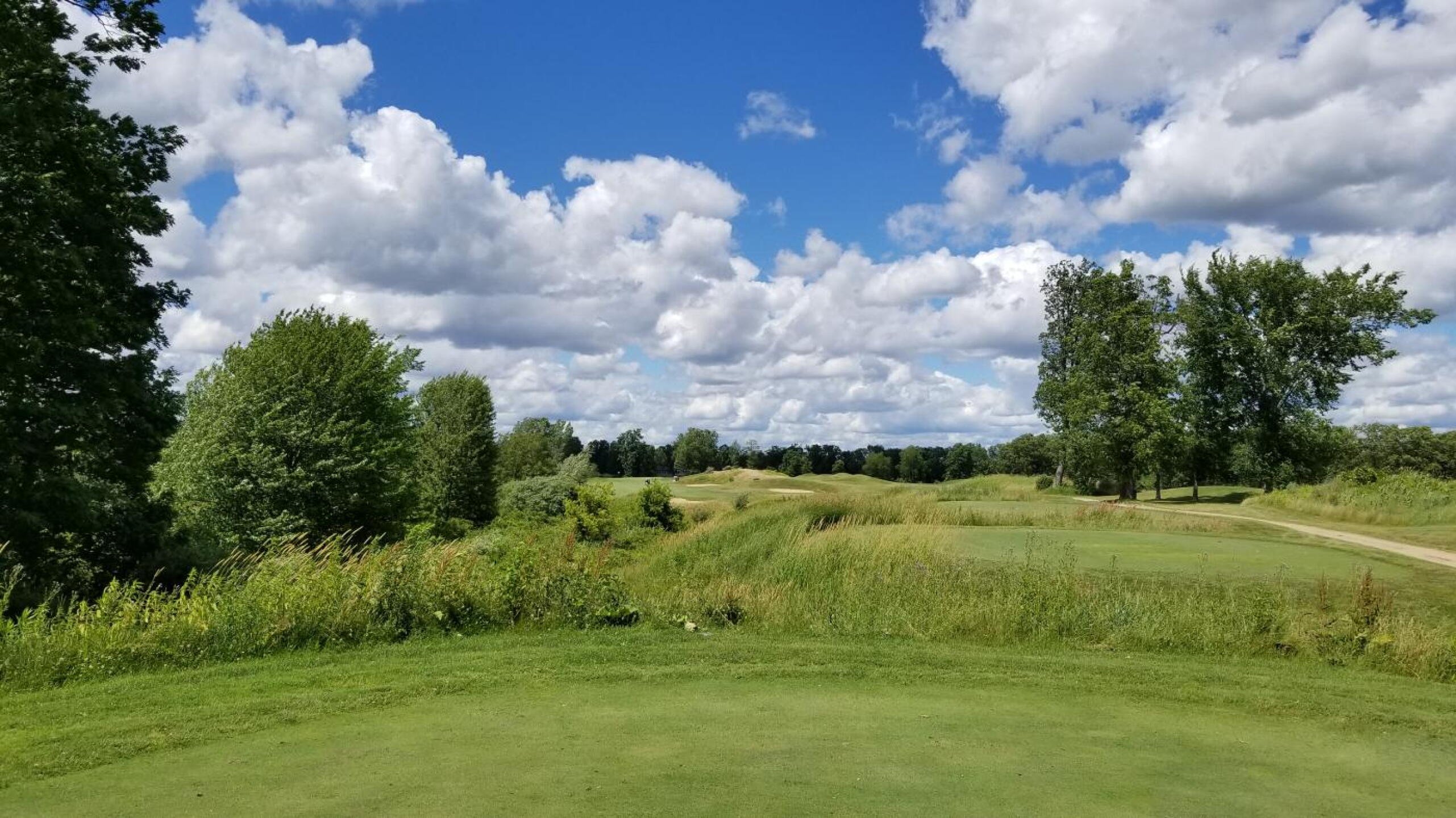 (Photo submitted by AHigherHandicap on 07/23/2019)