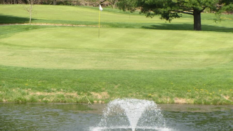 Cumberland CC: #14