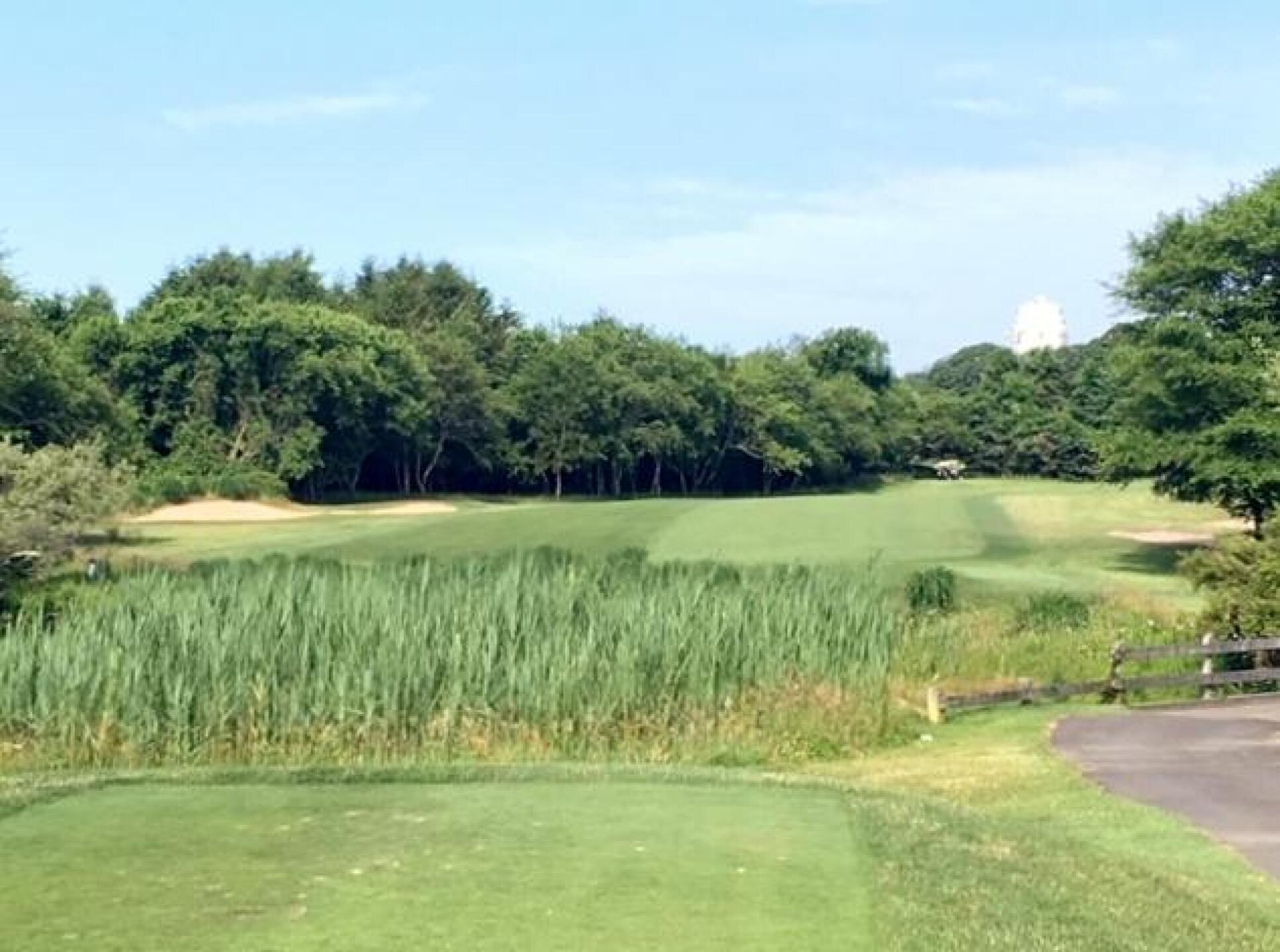 (Photo submitted by LICC on 07/04/2019)