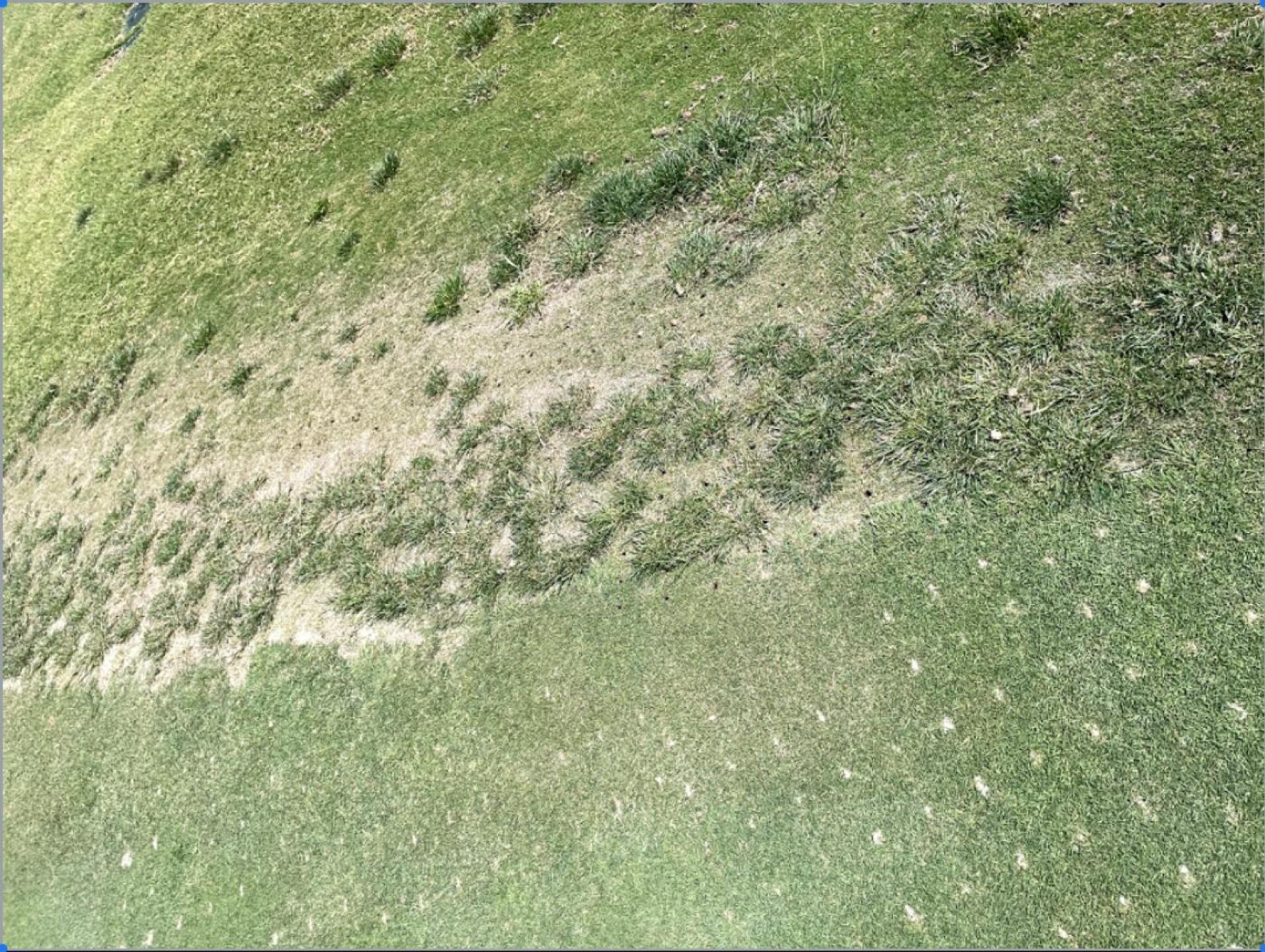 The course is in really bad shape (Photo submitted by thierrykoblentz on 06/16/2021)