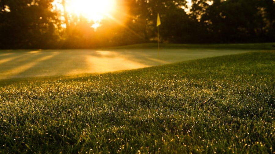 Craigowan GC: #15