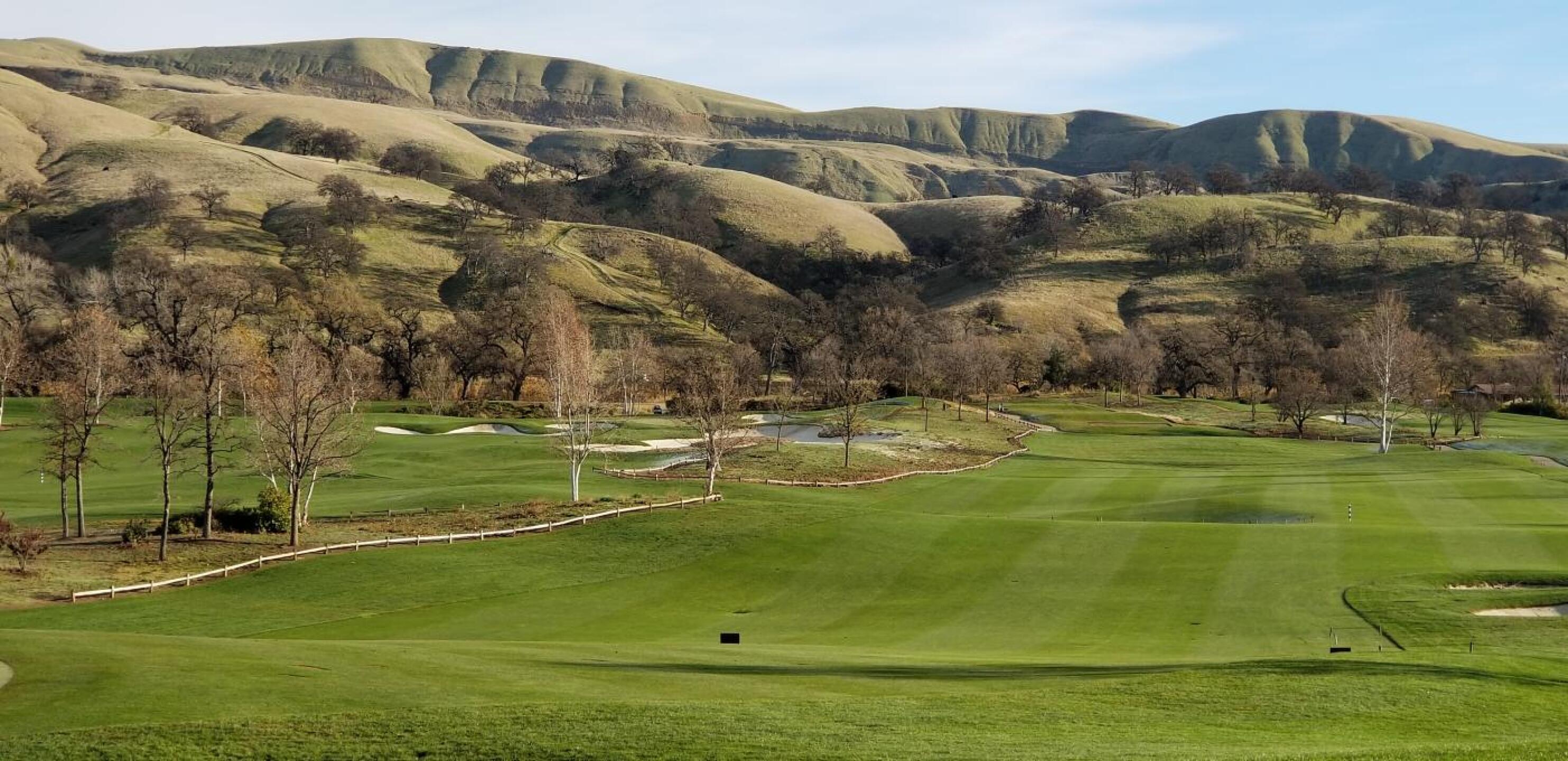 (Photo submitted by Titaniumhen on 01/13/2020)