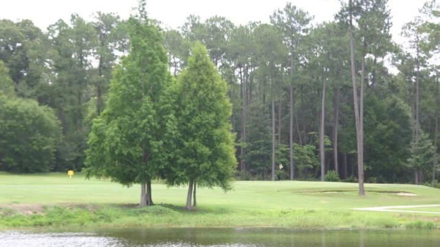 Quail Creek GC: #4