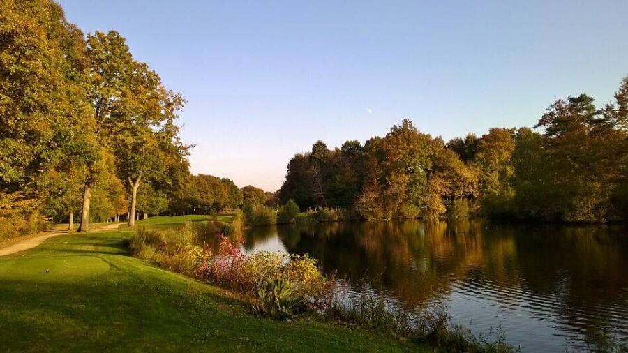 Isabella GC: #11