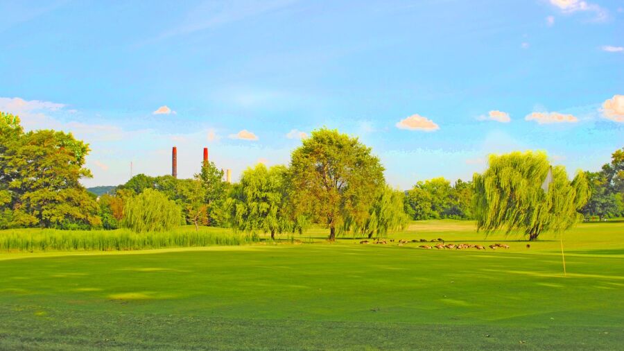 Langston GC