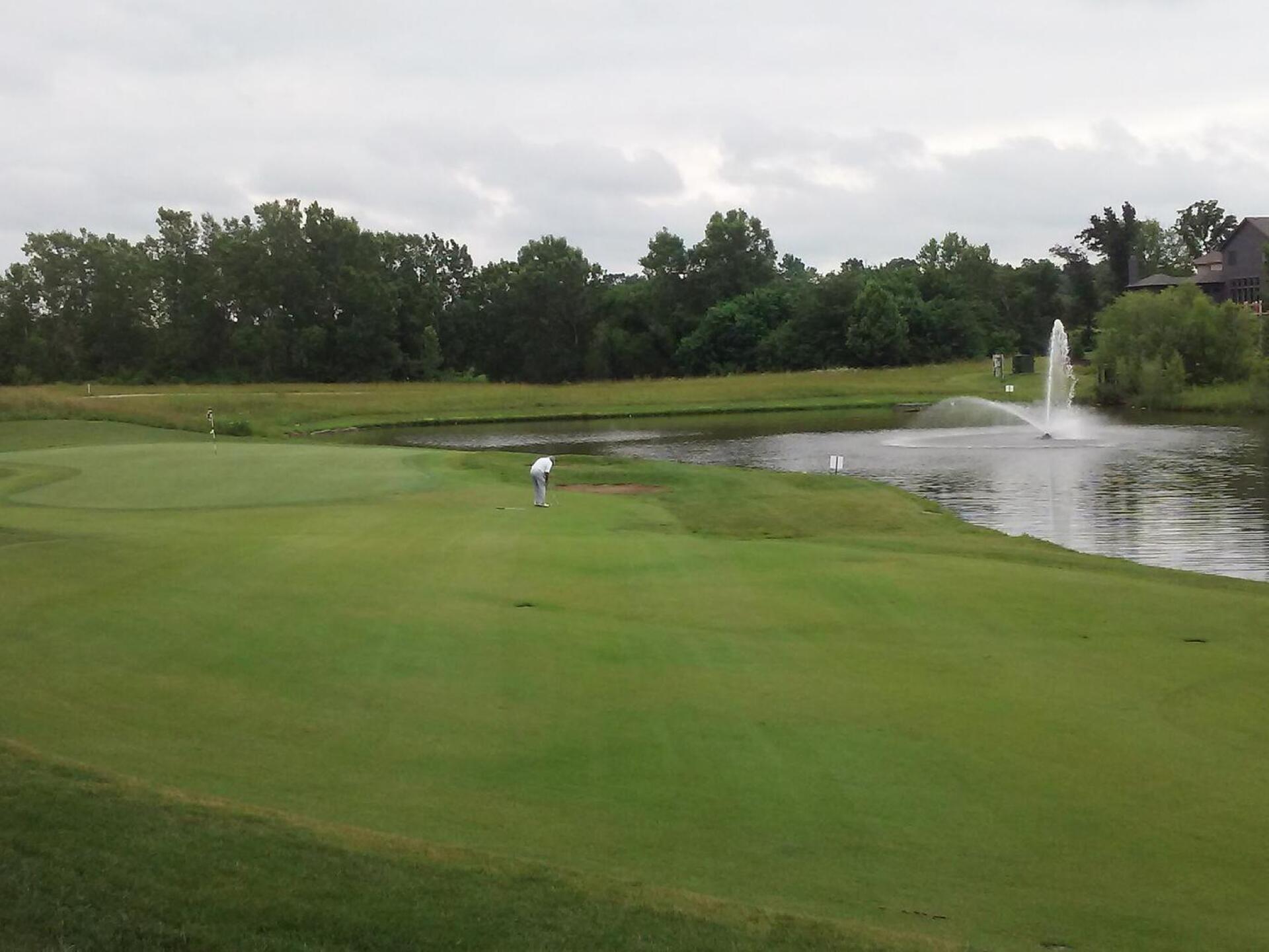 #1 green (Photo submitted by BigAl46 on 08/13/2015)