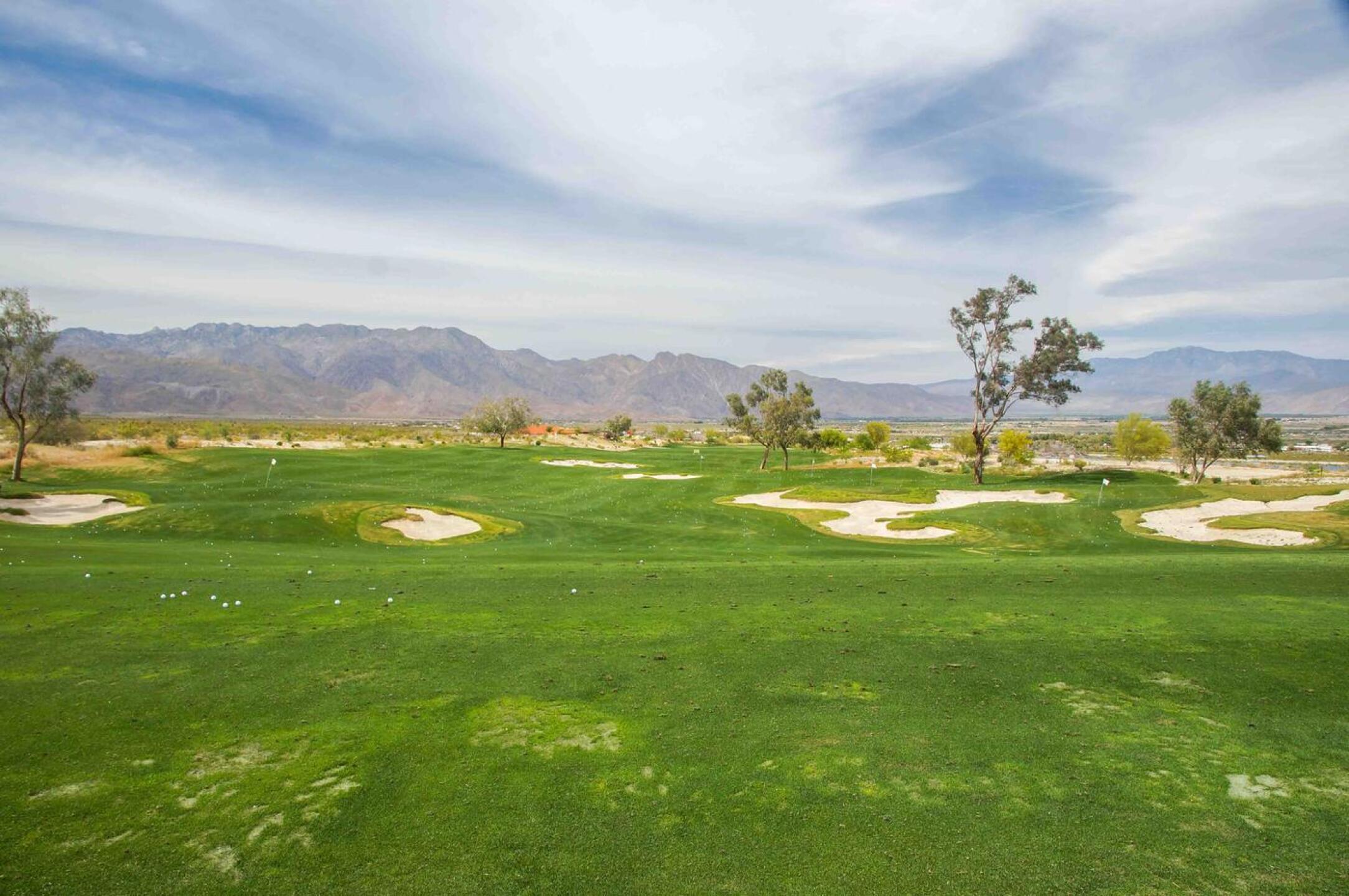 (Photo submitted by krpuppy on 04/11/2017)