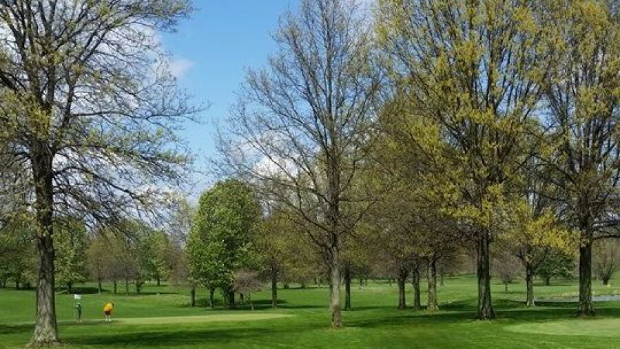 Saxon GC