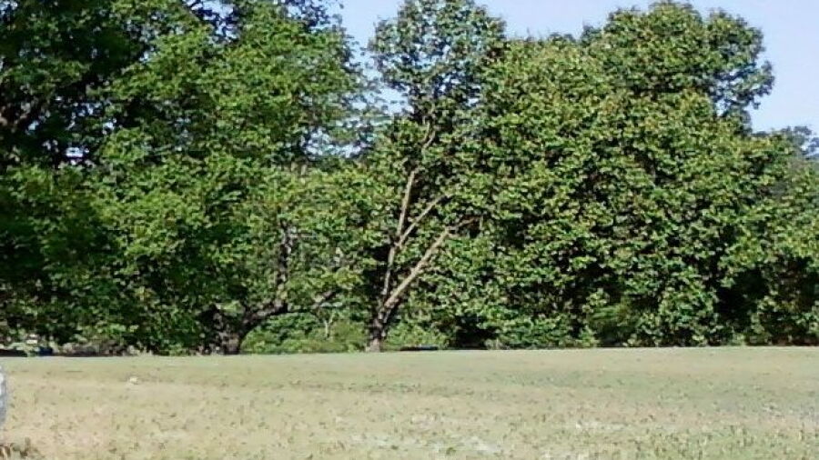 Hazelburn GC