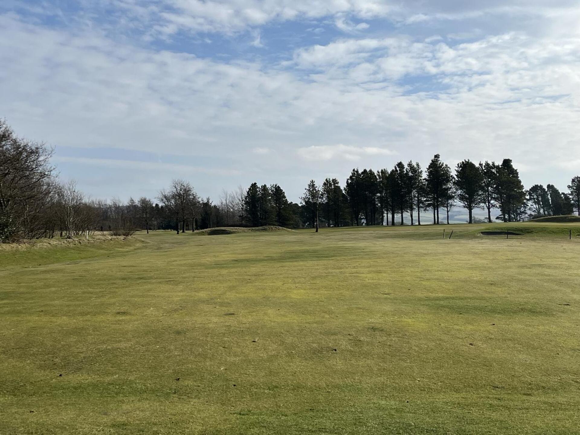 (Photo submitted by t196110643 on 02/15/2025)