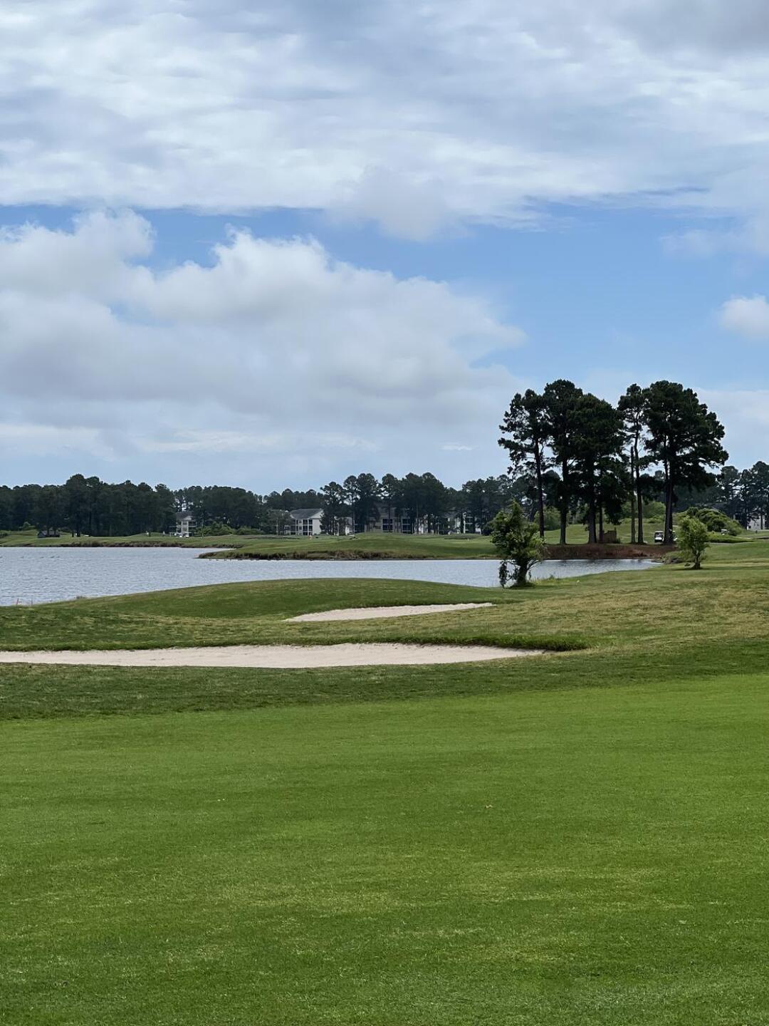 (Photo submitted by DavidSmith101 on 05/06/2024)