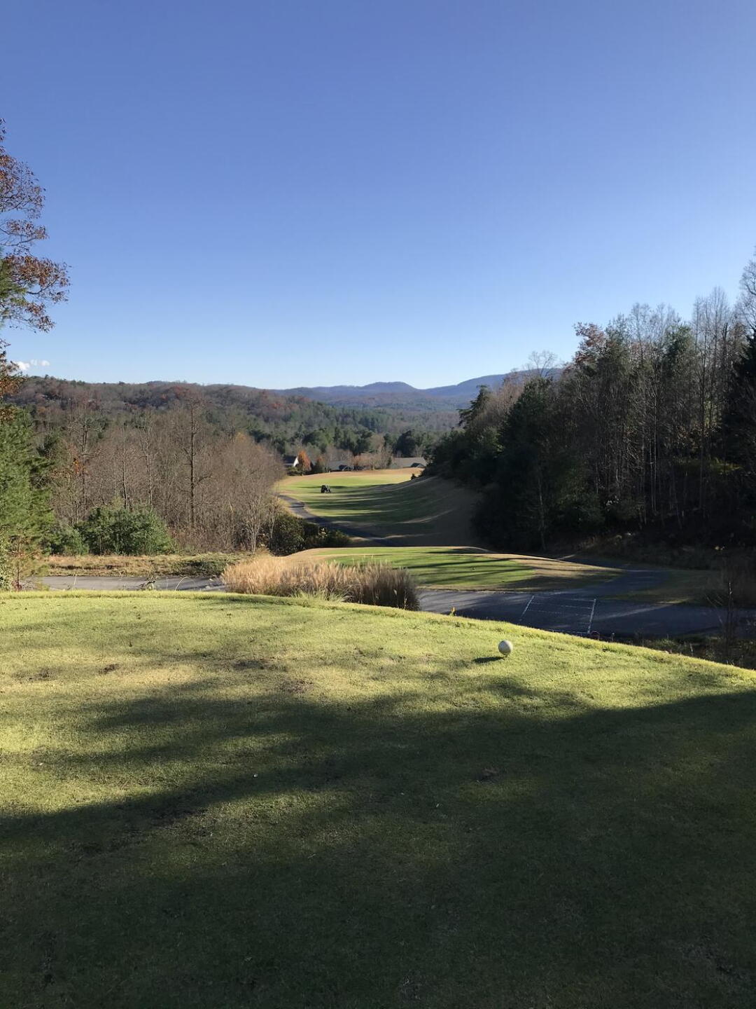 (Photo submitted by golfdave1970 on 11/13/2020)