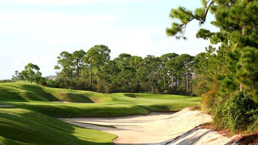 Loblolly Pines GC