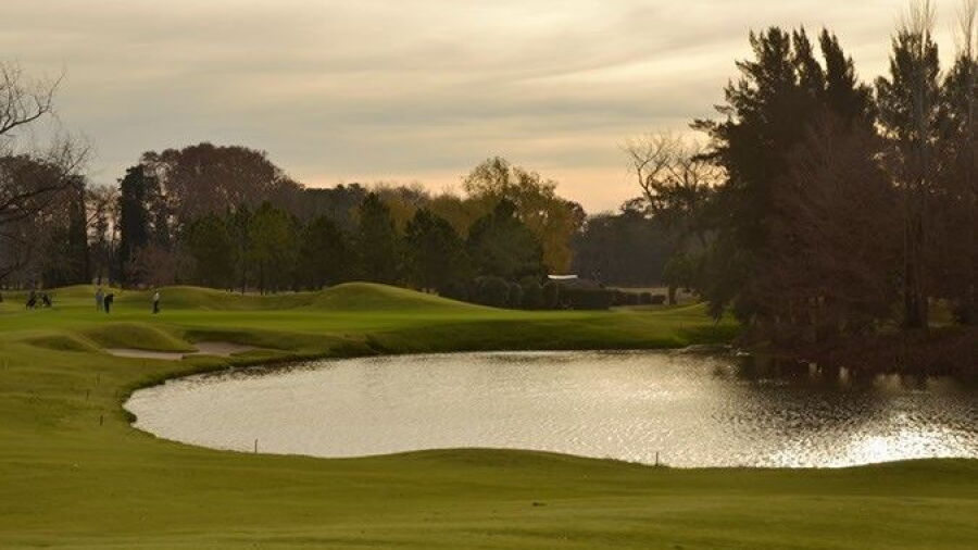 Martindale CC