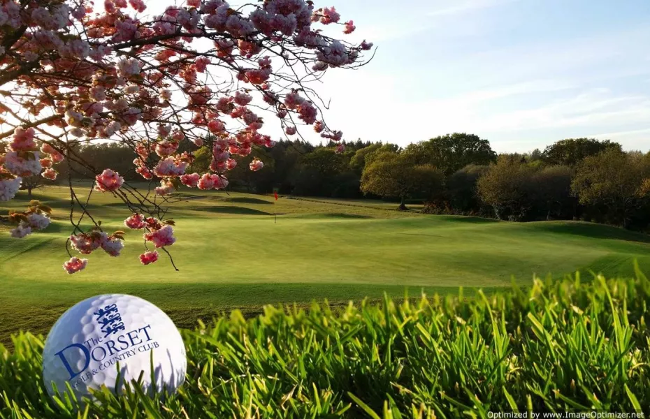 Dorset GC