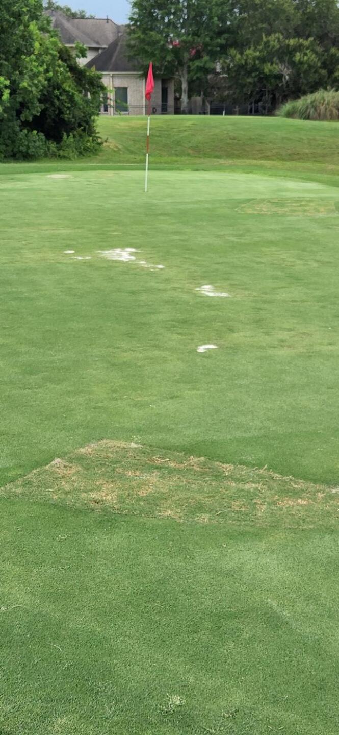 (Photo submitted by u5172873 on 08/07/2022)