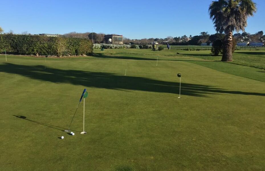 Golf Warehouse & Driving Range Ellerslie Course in Ellerslie