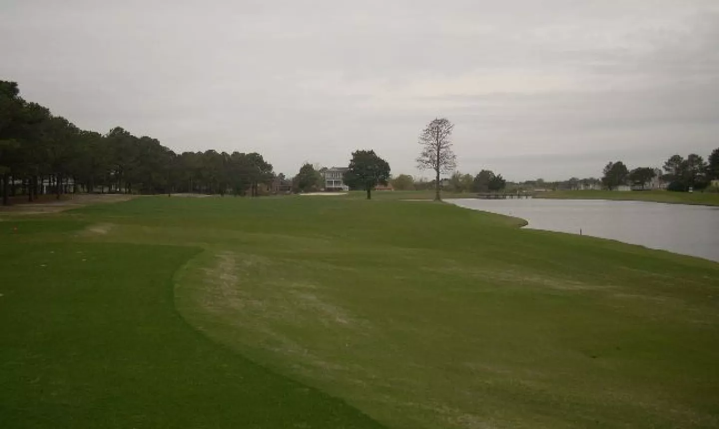 Myrtlewood Golf Club - Palmetto Course - Hole 14