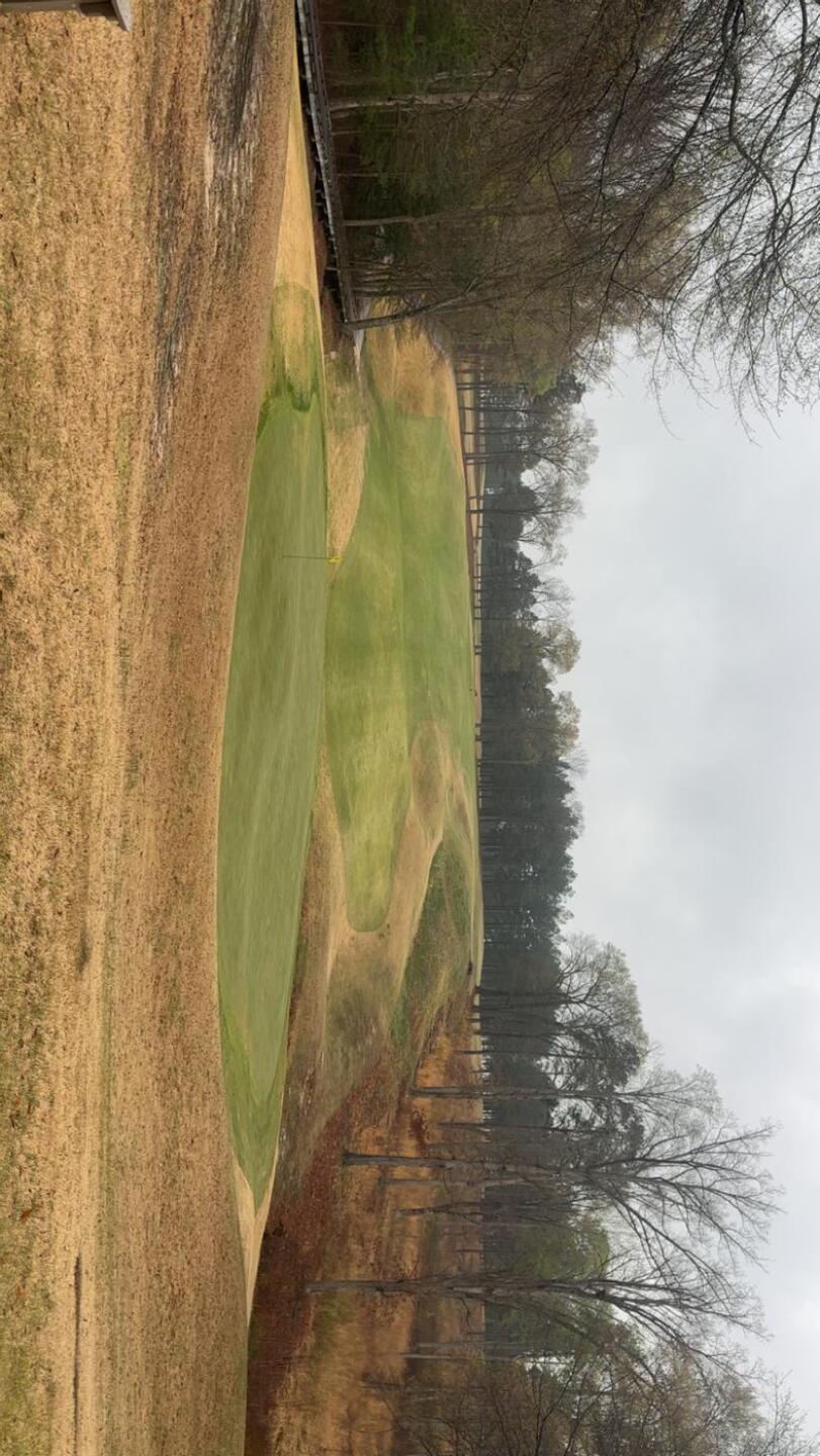 (Photo submitted by Ddudley18 on 04/03/2025)