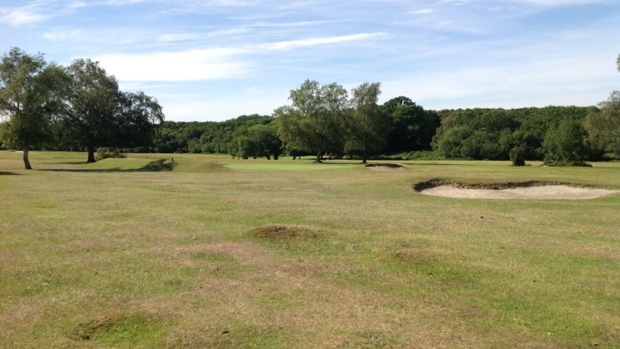 12th approach at New Forest