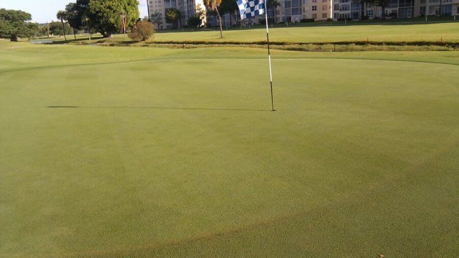 Palm-Aire CC - Palms: #12