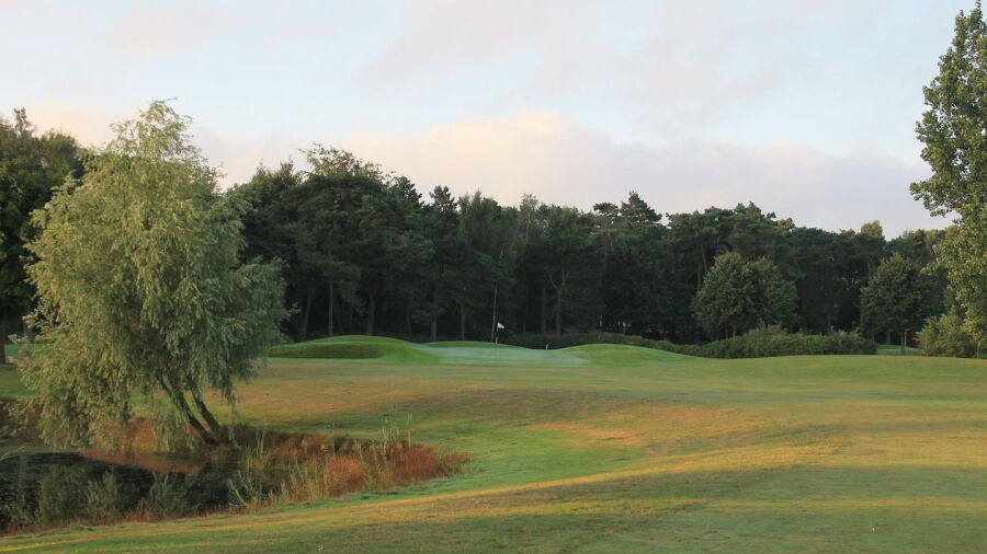 Bedinge GC