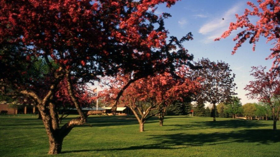Meadowbrook CC