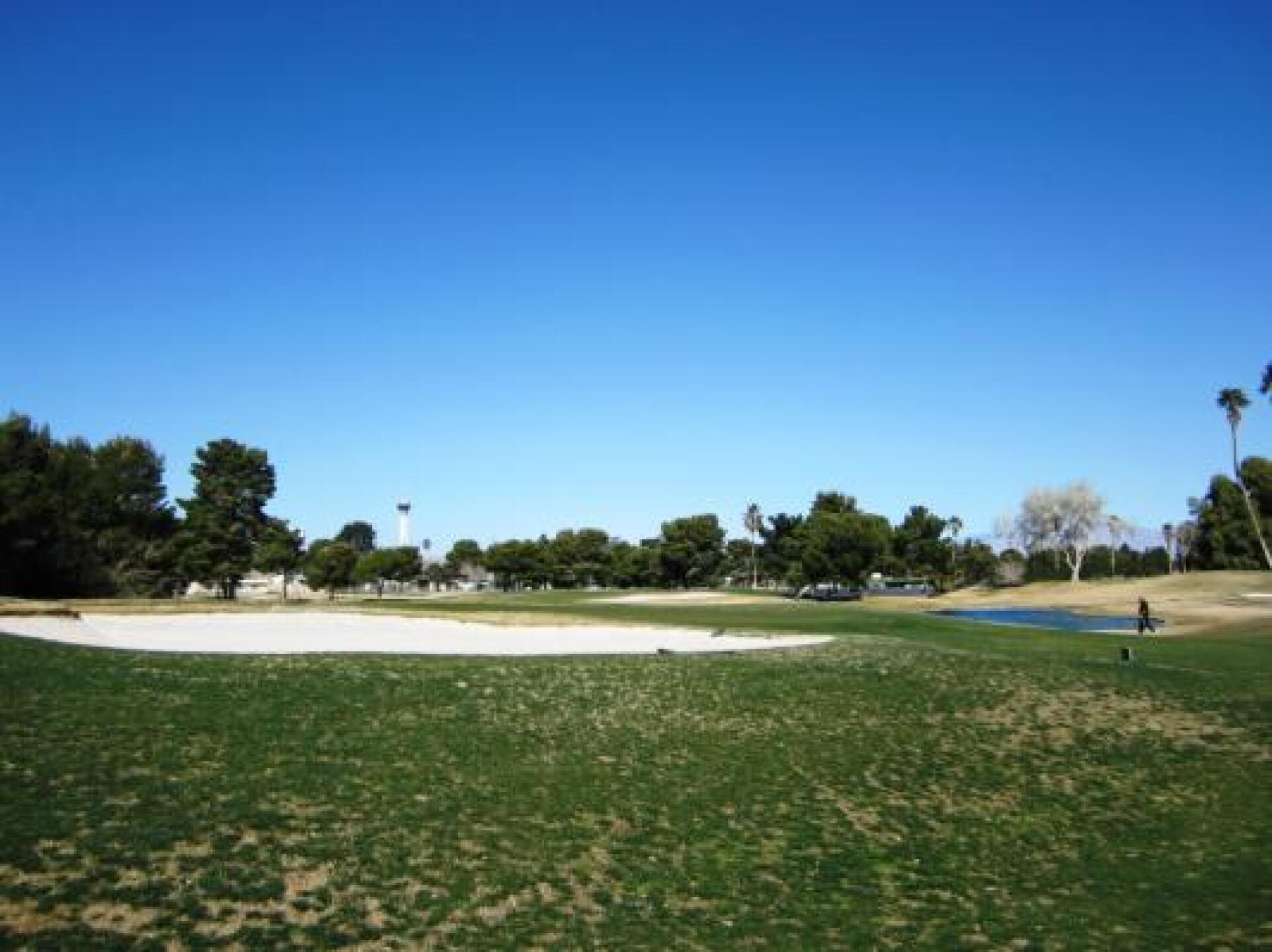 Bare fairways. Stratosphere in background. (Photo submitted by AirFed on 03/08/2013)