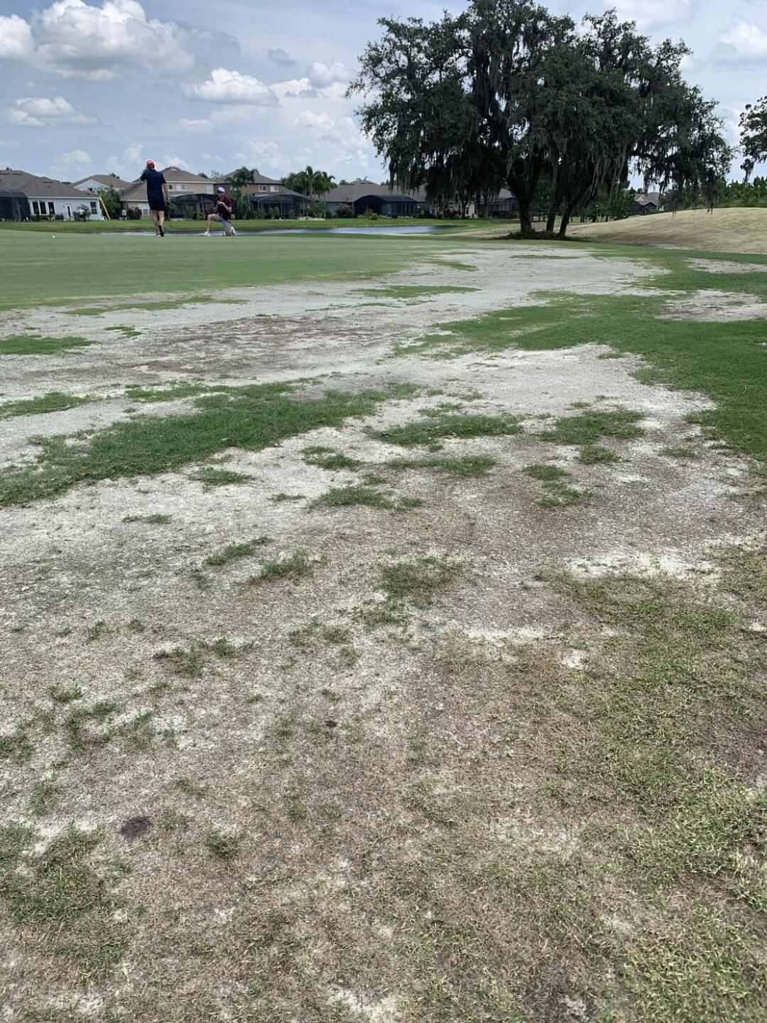 (Photo submitted by jaredwagner007 on 06/25/2023)