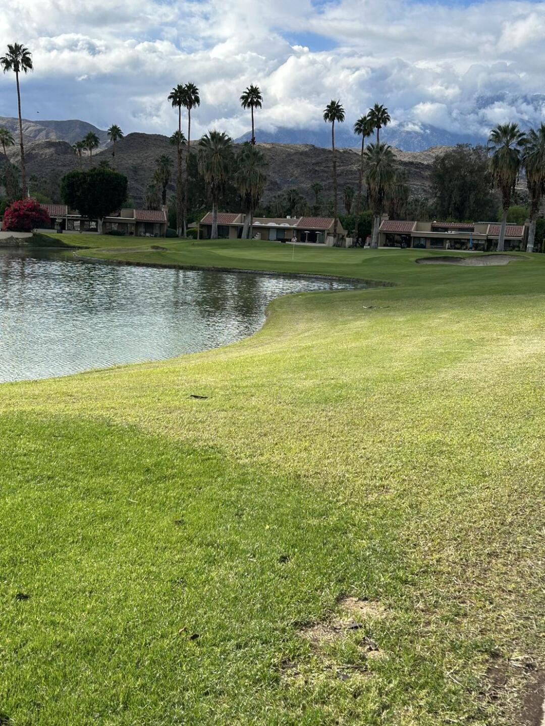 (Photo submitted by Wayne4410836 on 11/21/2025)