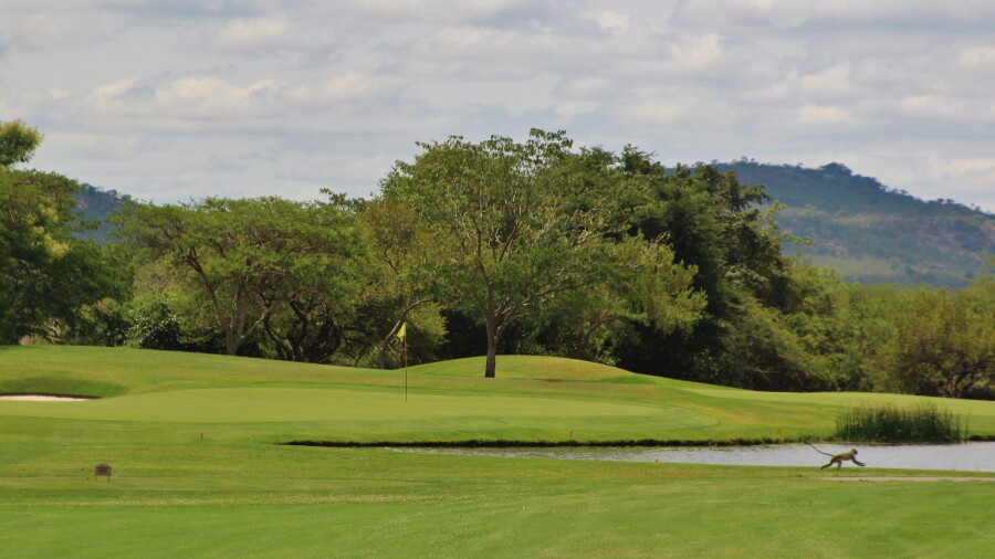 Leopard Creek C.C. golf course - no. 7