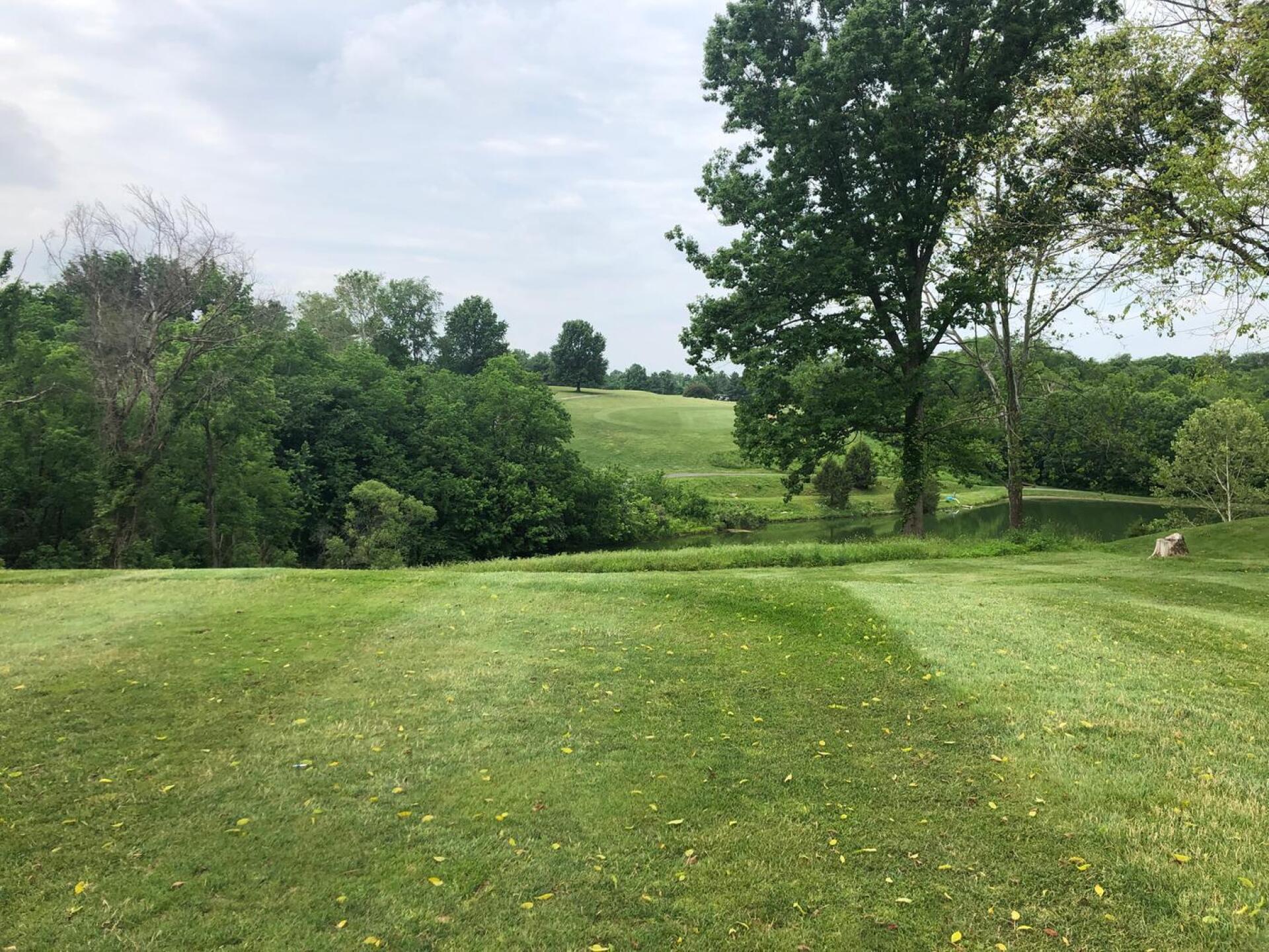 (Photo submitted by u4615921 on 06/06/2020)