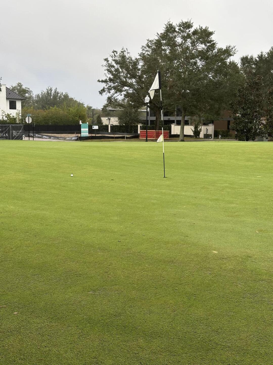 (Photo submitted by sradesi on 12/30/2024)