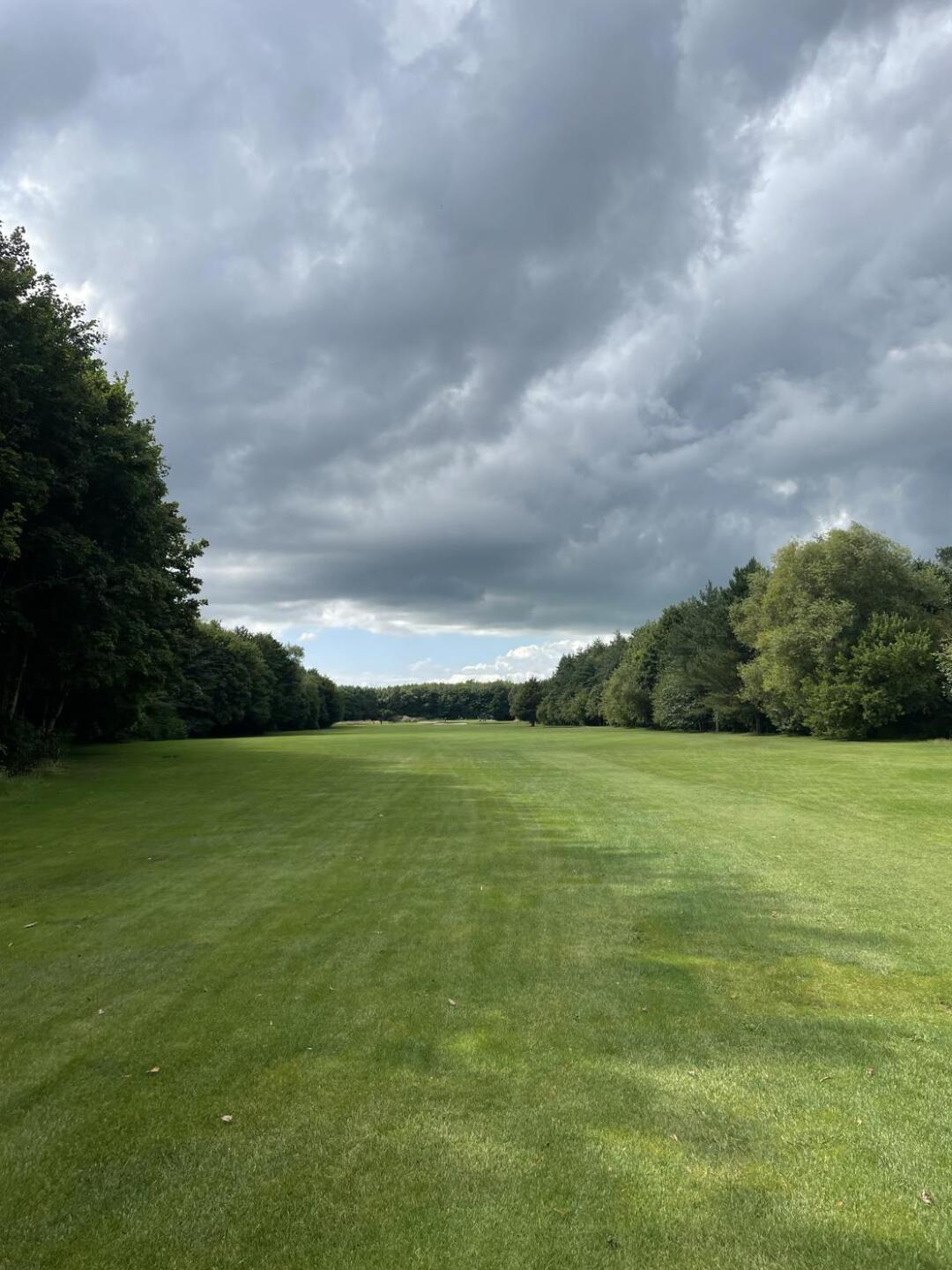 (Photo submitted by MWright1872 on 08/01/2022)