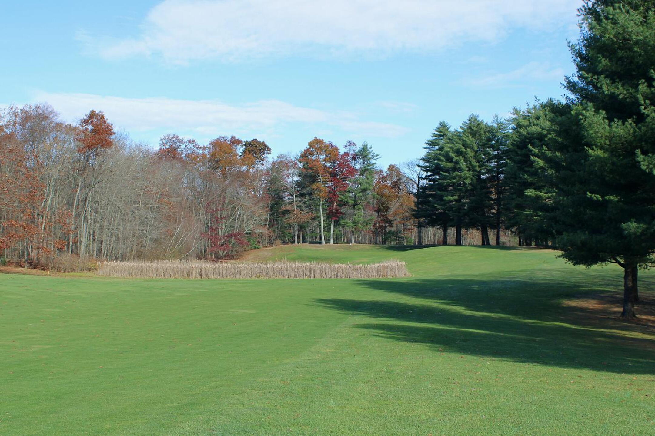 A line of reeds suggests the presence of water prior to green seventeen at this beauty of a par-4. (Photo submitted by AptlyLinked on 11/11/2024)