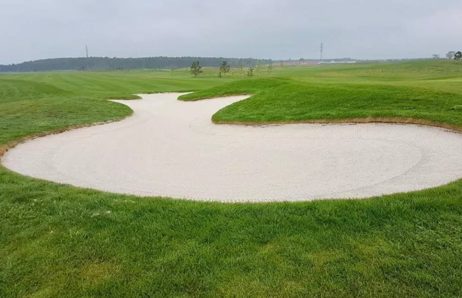 Linsberg GC: #7