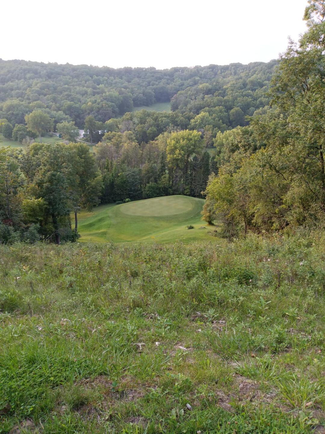 (Photo submitted by JimmySgolfs on 08/19/2023)