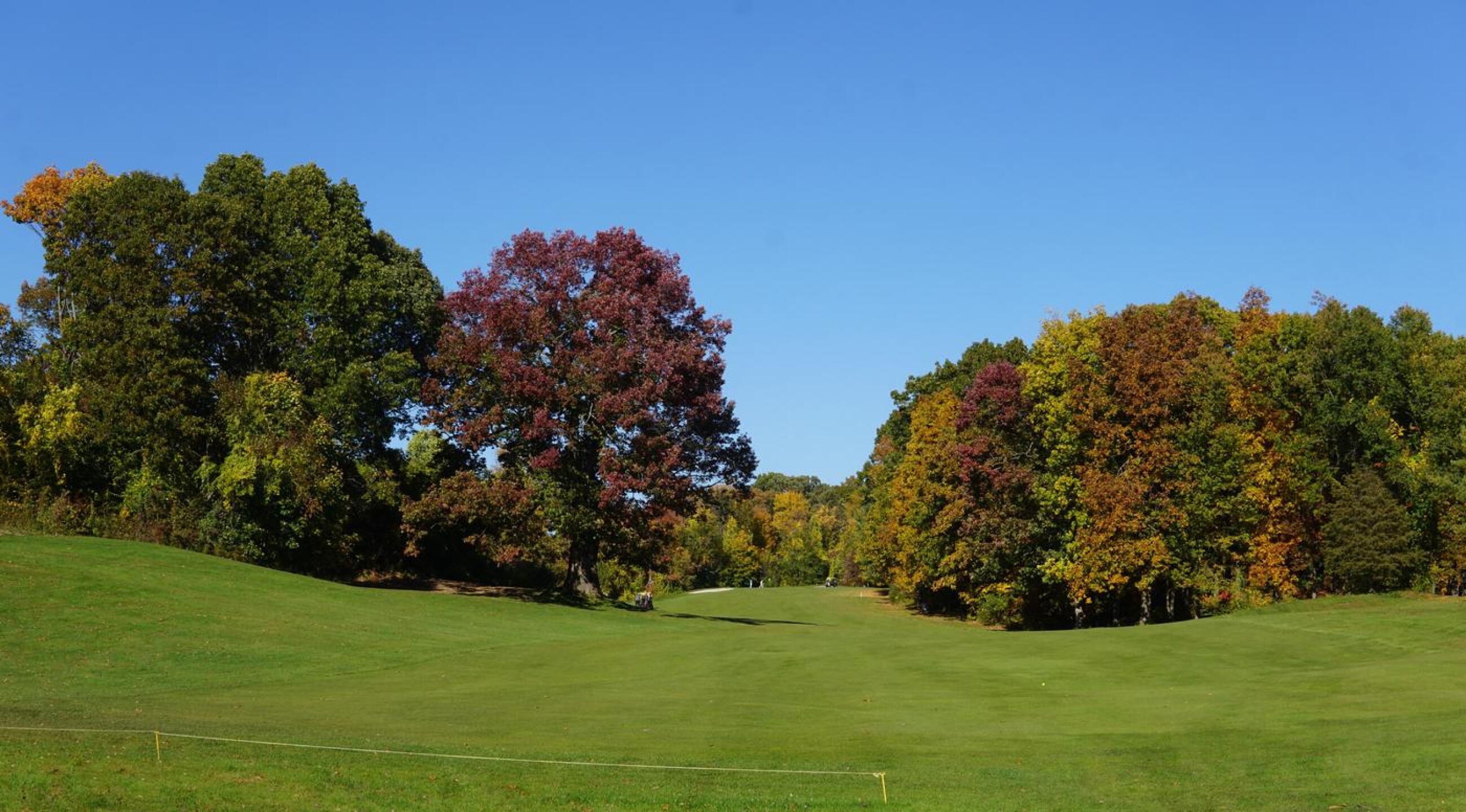 Playing the long, uphill, fifth hole–a par-5–can be an adventure. (Photo submitted by AptlyLinked on 10/24/2022)