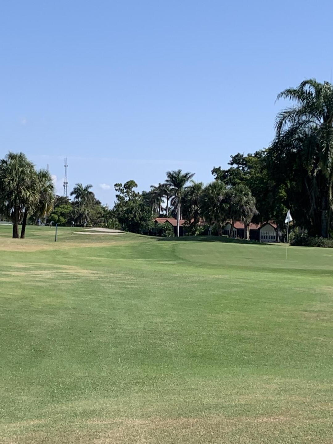 No idea why blue stake is next to the green (Photo submitted by JobiTX on 05/22/2023)