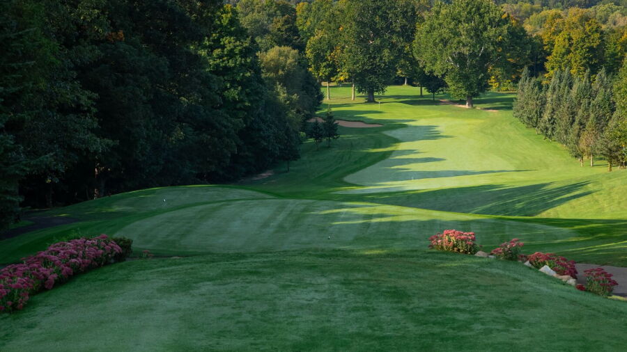 Lynx GC