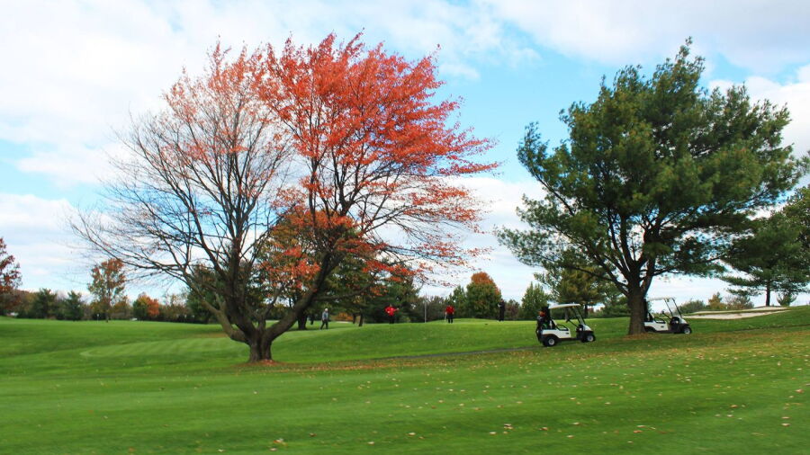 Winchester CC