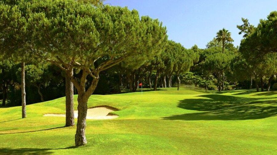 Pinheiros Altos Golf Resort - Pines: #1