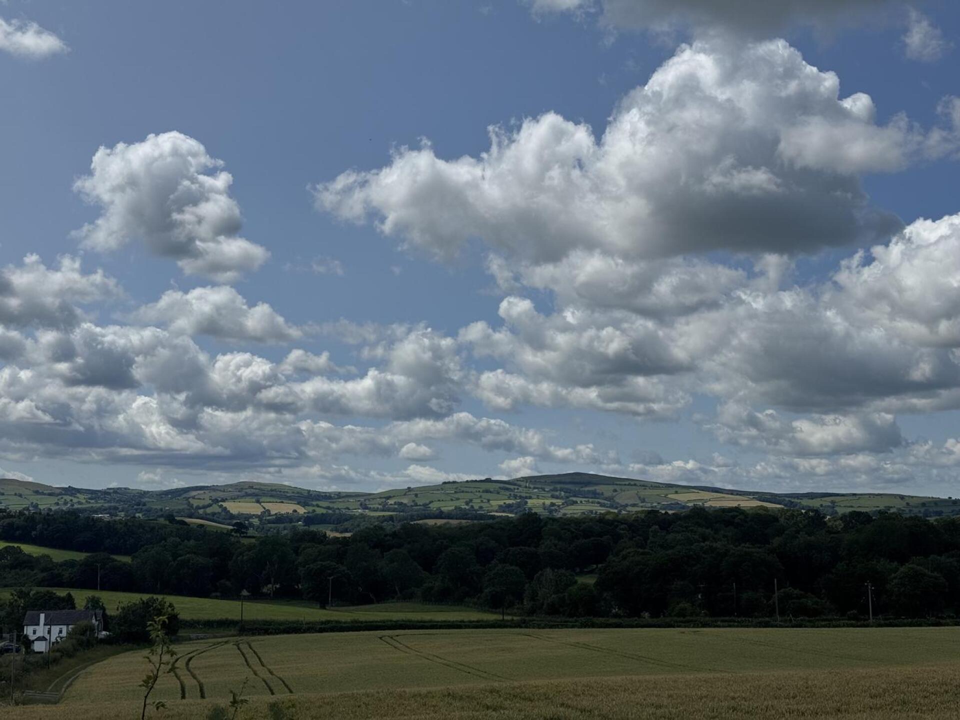 (Photo submitted by PWD1972 on 07/03/2025)