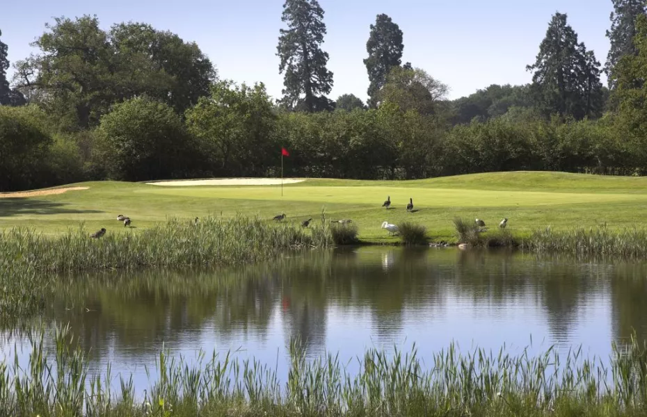 Hartley Wintney: #14