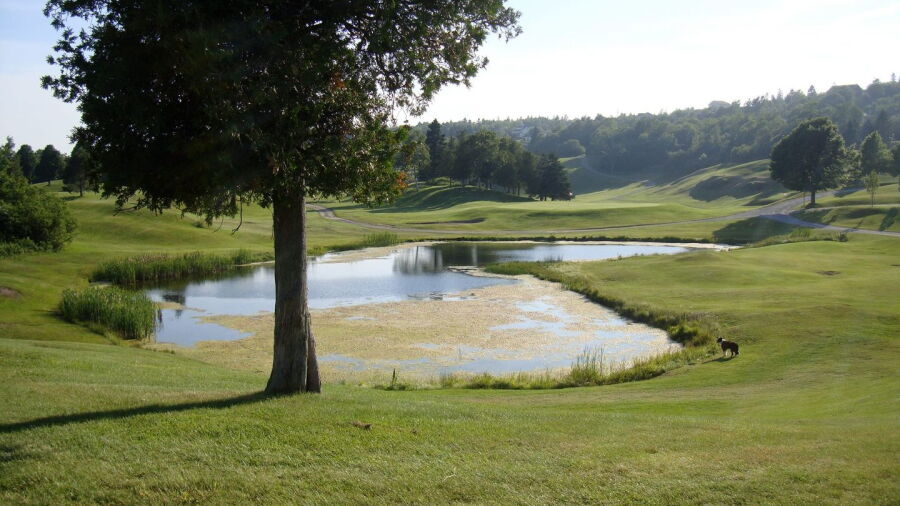Rockwood Park GC