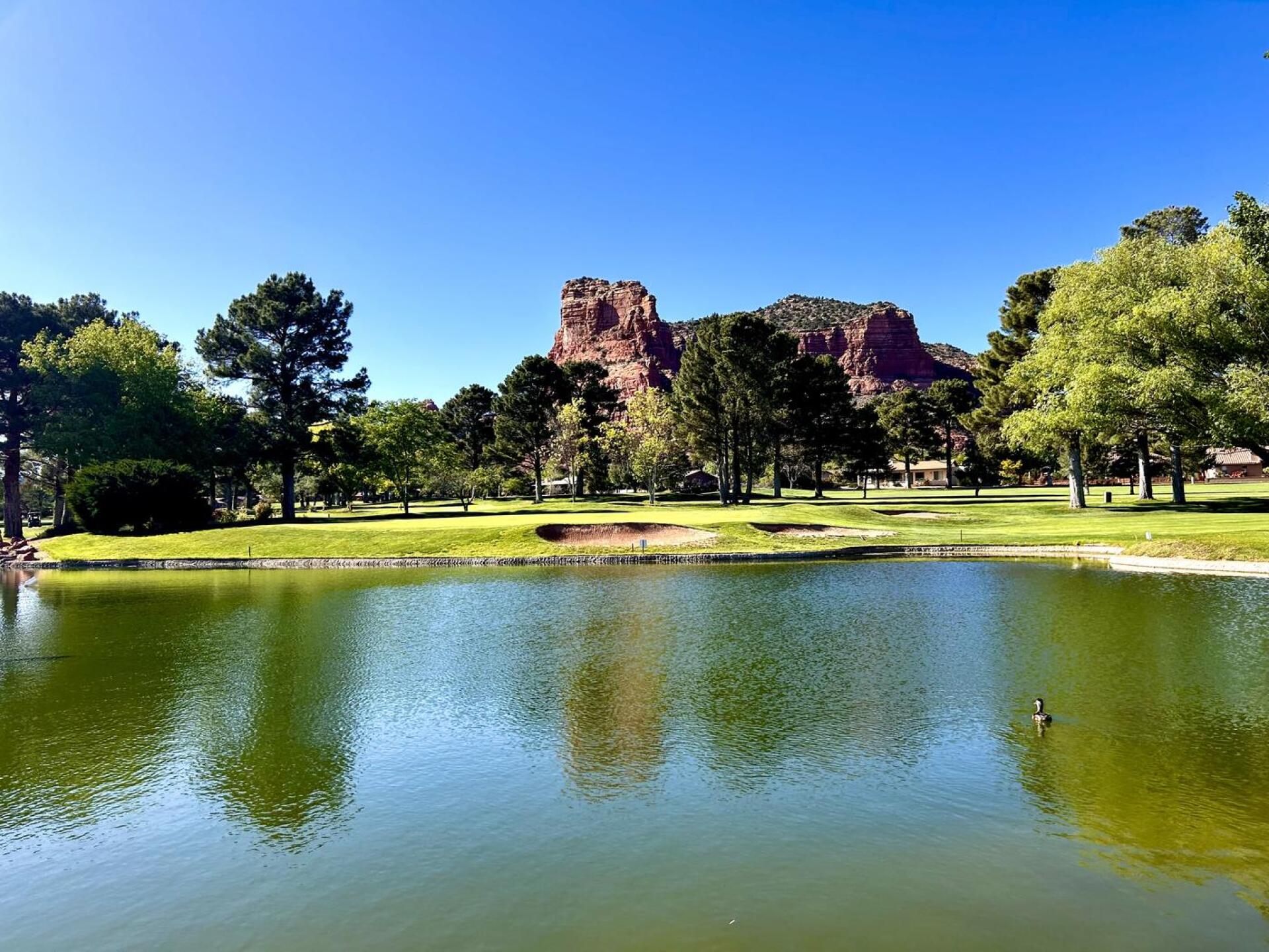 (Photo submitted by dotson79 on 04/15/2026)