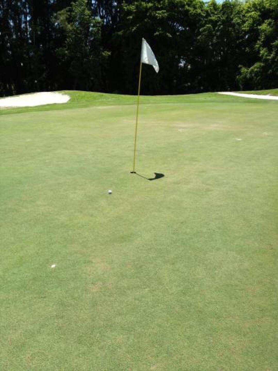 Tee shot on #8 par 3 (Photo submitted by tmlo on 05/05/2013)