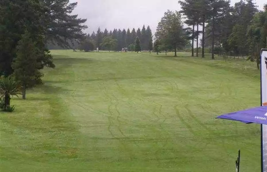 Greytown CC