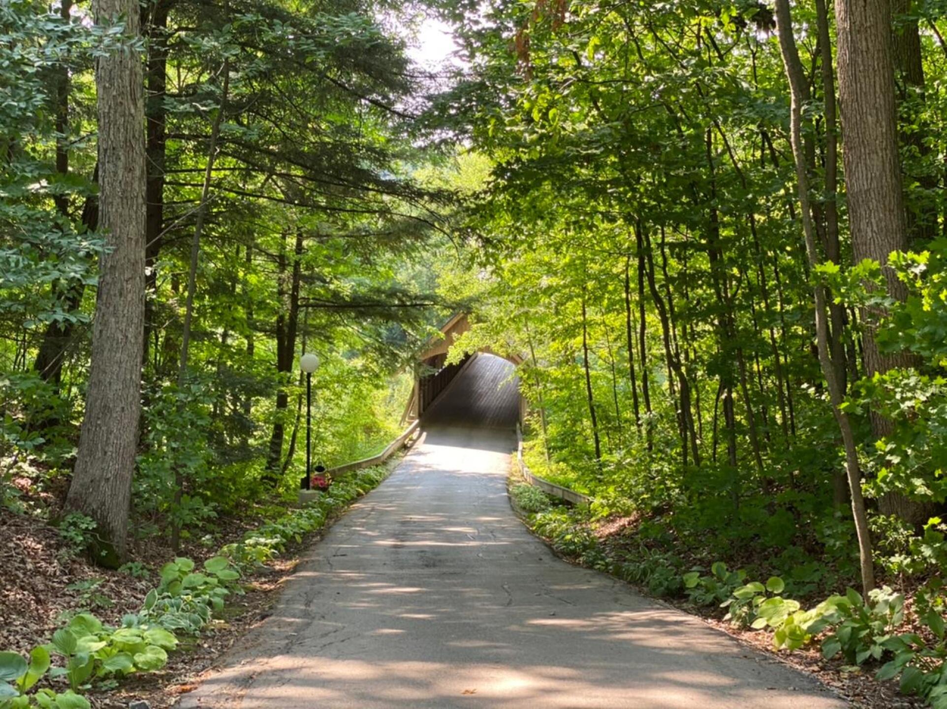 (Photo submitted by Melinda2777649 on 08/29/2020)