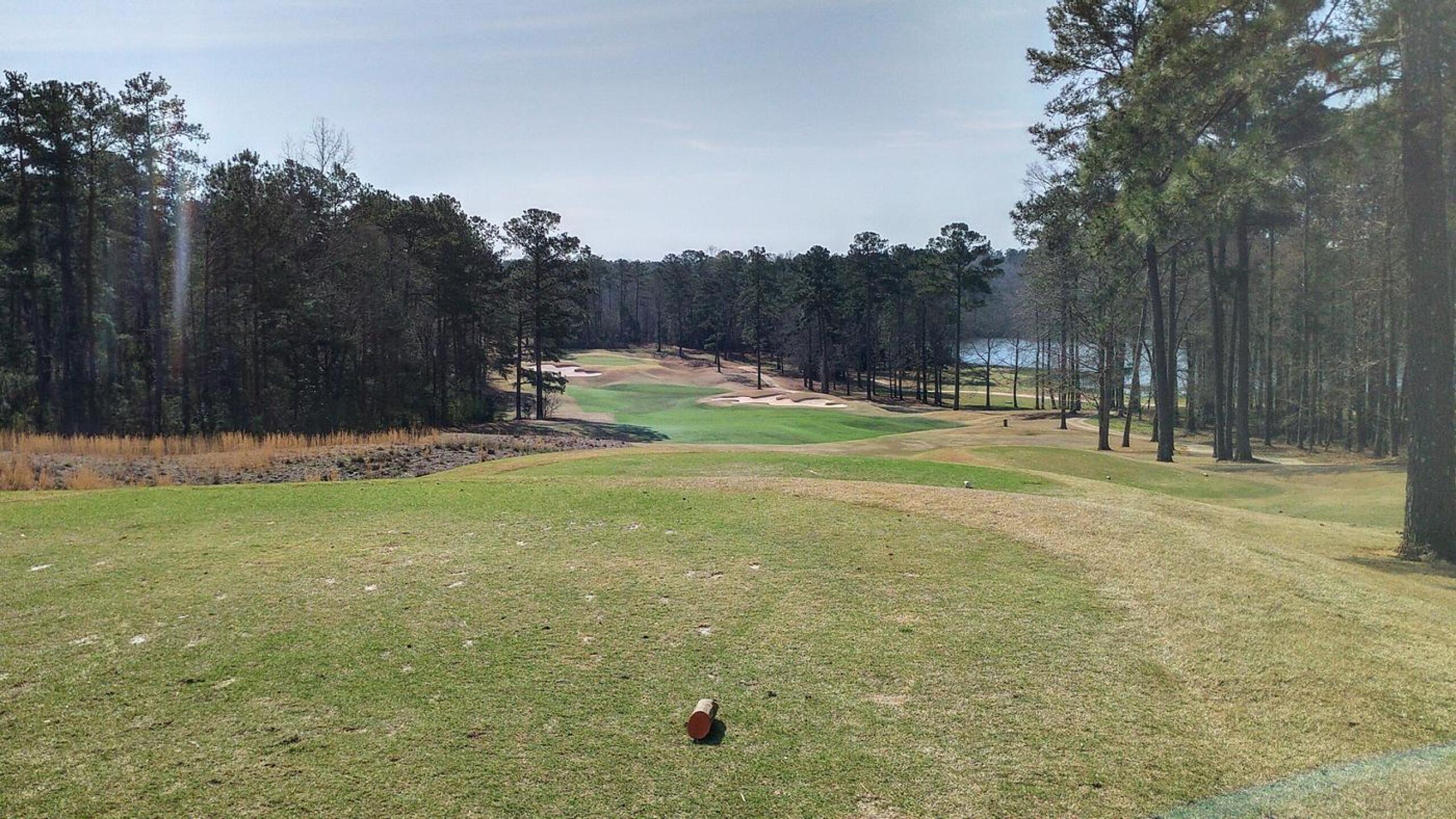 17th tee (Photo submitted by JayEmm on 03/13/2021)